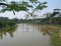 vn 172.jpg (1136x852)